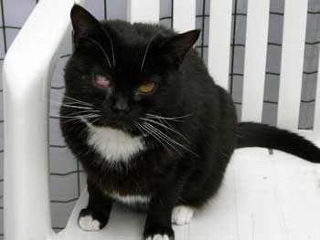 C'est en tr�s bonne voie