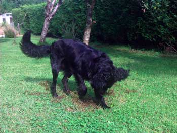 les progr�s sont impressionnants. Merci Charlotte