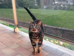 je vous attends pour vous donner toute mon affection