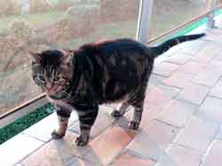 o� je prends le frais