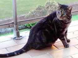 je suis sur le balcon 